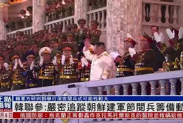 明尼苏达森林狼